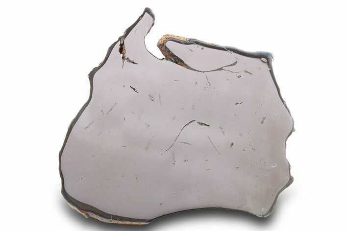 Gebel Kamil Iron Meteorite Slice ( g) - Egypt #284527